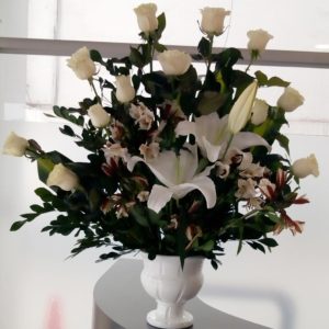 ARREGLO CALMA PERDUBLE