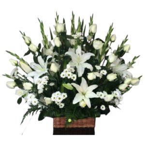 ARREGLO INFINITO SENTIMIENTO